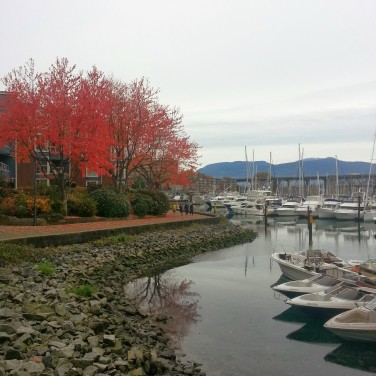 I took a similar photo the first time I made my way to Granville Island. This time, the Granville Island Harbour is full of colour. Oh, as the leaves change!